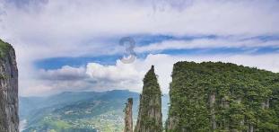 国家魔法森林逃亡